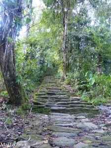 Ciudad Perdida