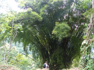 Ciudad Perdida