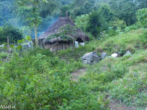 Ciudad Perdida