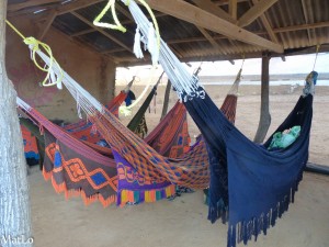 Guajira - campement Punta Gallinas