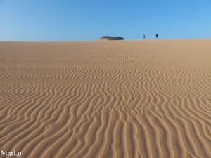 Guajira - Taroa
