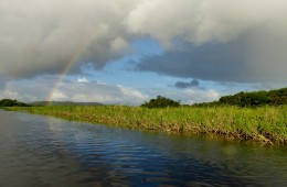 Marais de Kaw