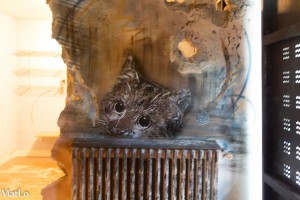 C215