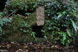 Pouilles_034
