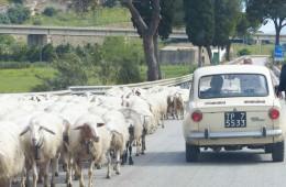 La conduite sicilienne