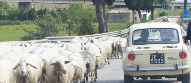 La conduite sicilienne