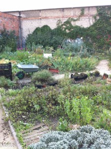 Le jardin partagé qui était dans l'enceinte de la centrale